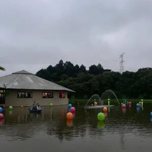 SaveClip.App_490066295_1440711720511718_8915524964526176164_n